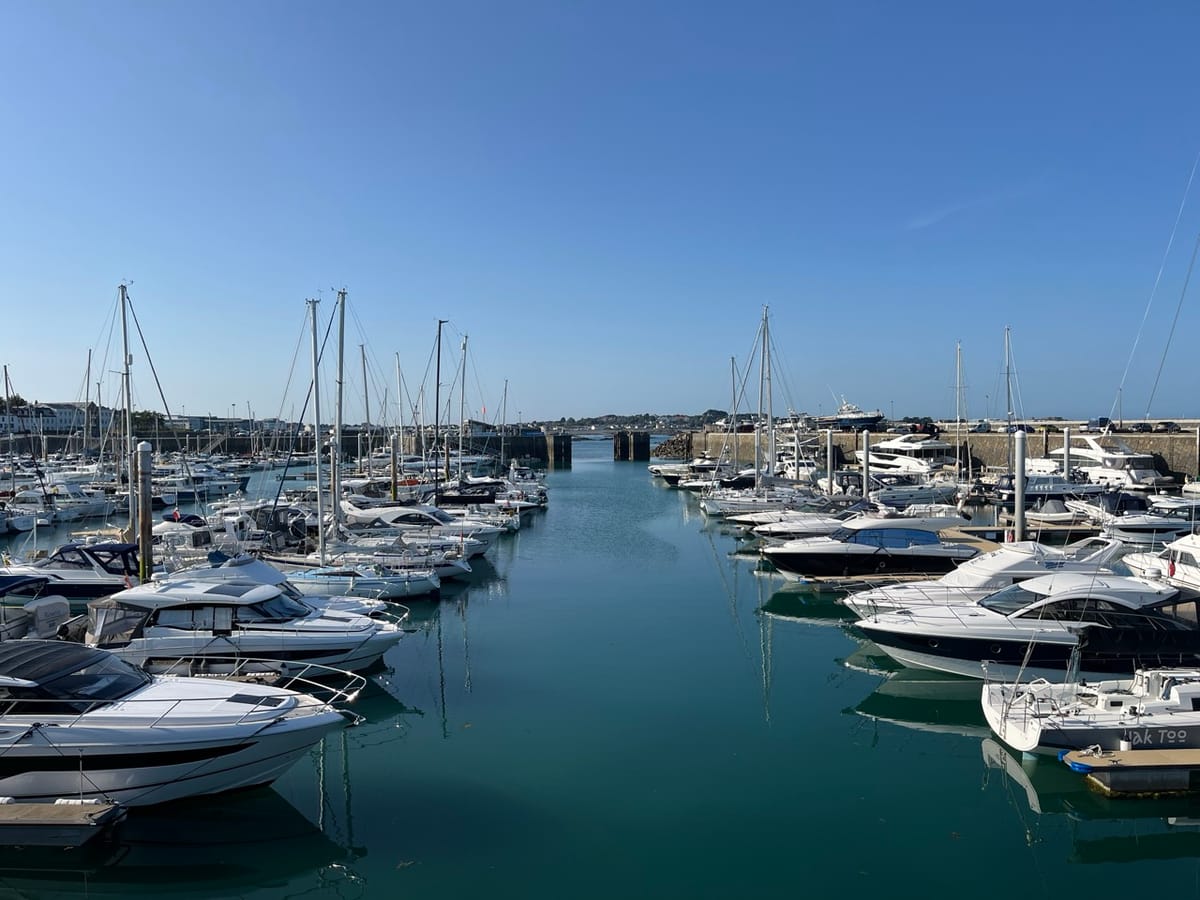 Marine biosecurity guide launched to combat invasive species threat