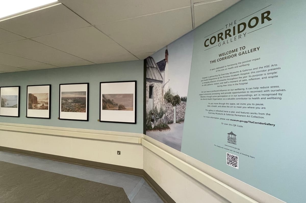 New hospital gallery transforms corridor into healing art space
