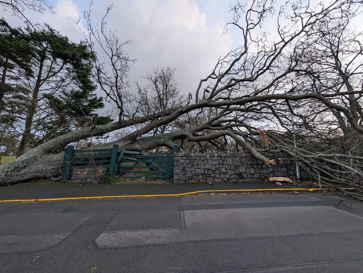 A meteorological tale of three storms